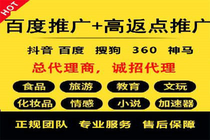 百度广告推广实战案例解析